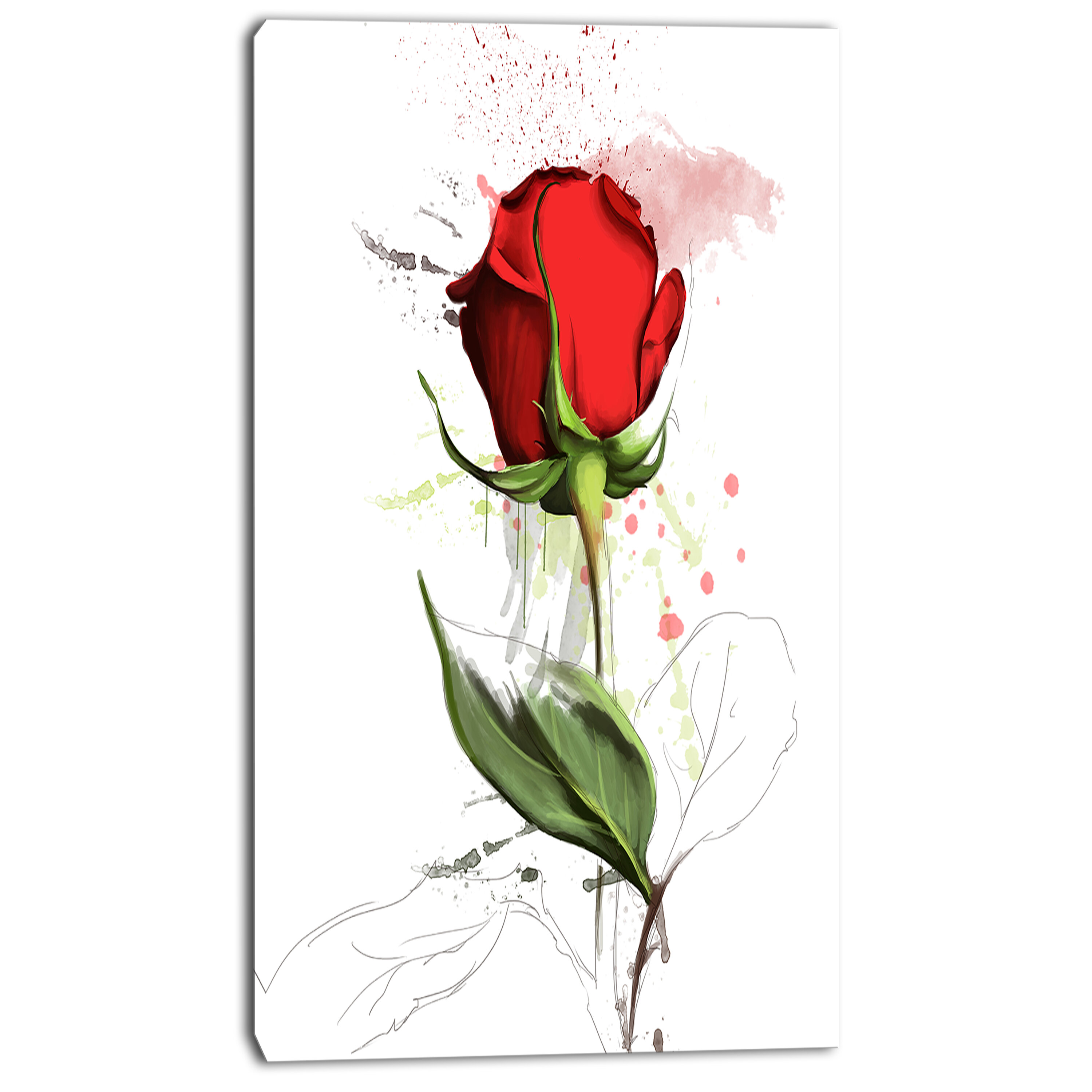 Red Rose Hand drawn Illustration Painting Print on Wrapped Canvas