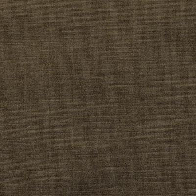 Velvet Encyclopedia I Fabric