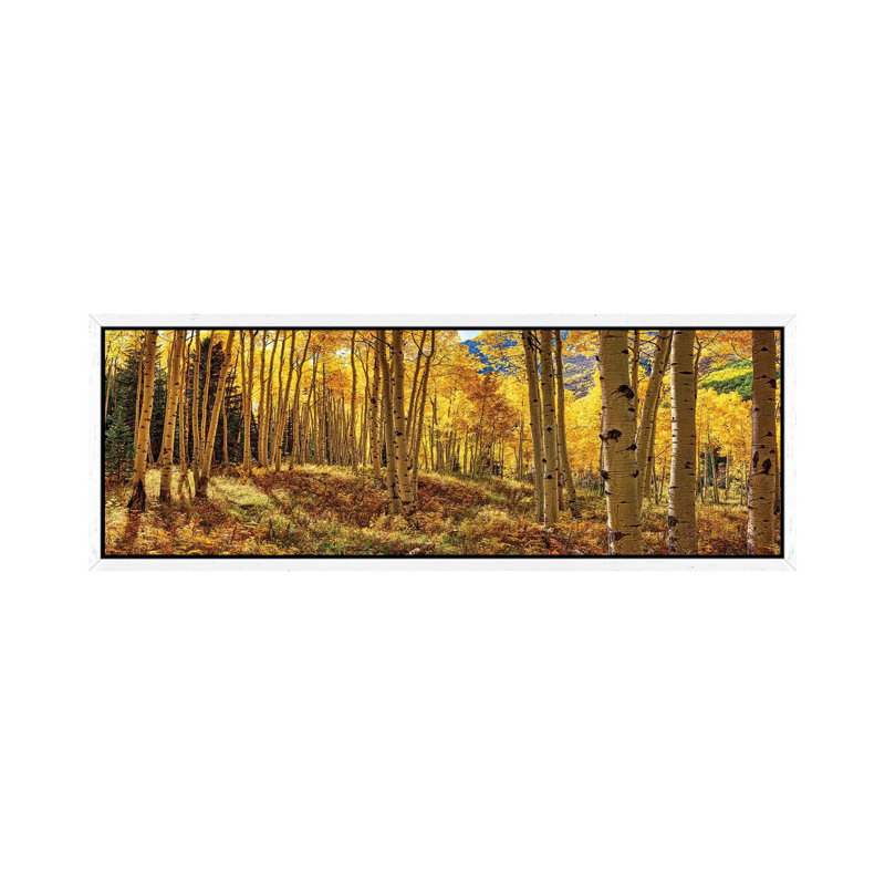 Autumn Aspen Colorado Forest Panorama - Panoramic Print on Canvas, 121.92 cm H x 40.64 cm W, White Framed