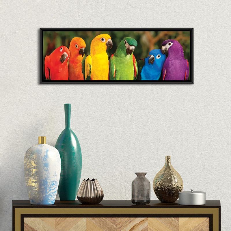 «Rainbow Parrots», impression sur toile tendue, H 12 po x l 36 po x P 1,5 po, Toile avec cadre noir
