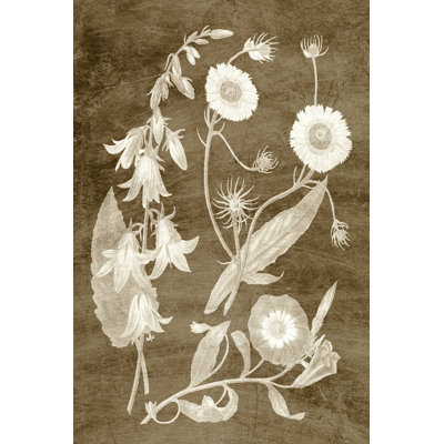 Botanique en taupe III