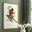 «Elegant Trogons I», reproduction encadrée - bois massif-1998069703