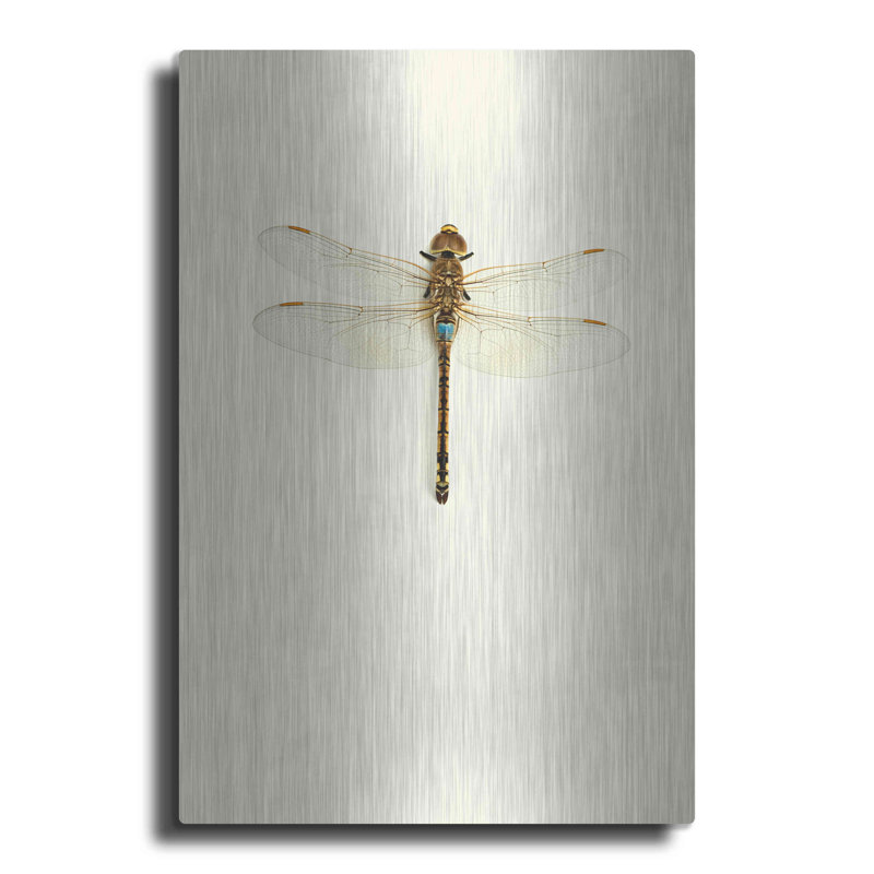 Dragonfly I par Incado - photographie sur métal sans cadre, H 24 po x l 16 po x P 0,13 po