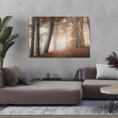 On A Morning In Fall Peaceful Serene Tranquil Autumn Forest, art mural