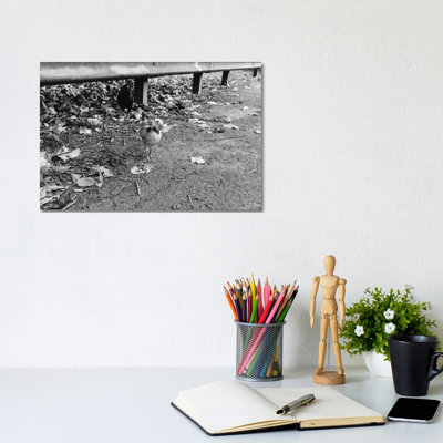 Why Did The Chicken Cross The Road? by Bethany Young - Wrapped Canvas Print