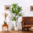 Adcock Artificial Dracaena Tree in Plastic Pot for Indoor/Outdoor Use-1187763798
