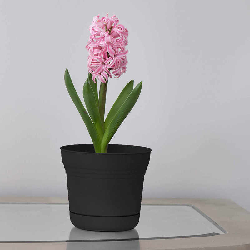 Pot Planter