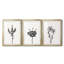 Encre botanique croquis II-457479931-457479935