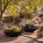 Pure Series Lane Weather Resistant Bowl Planter -153289822-153302370-222975130
