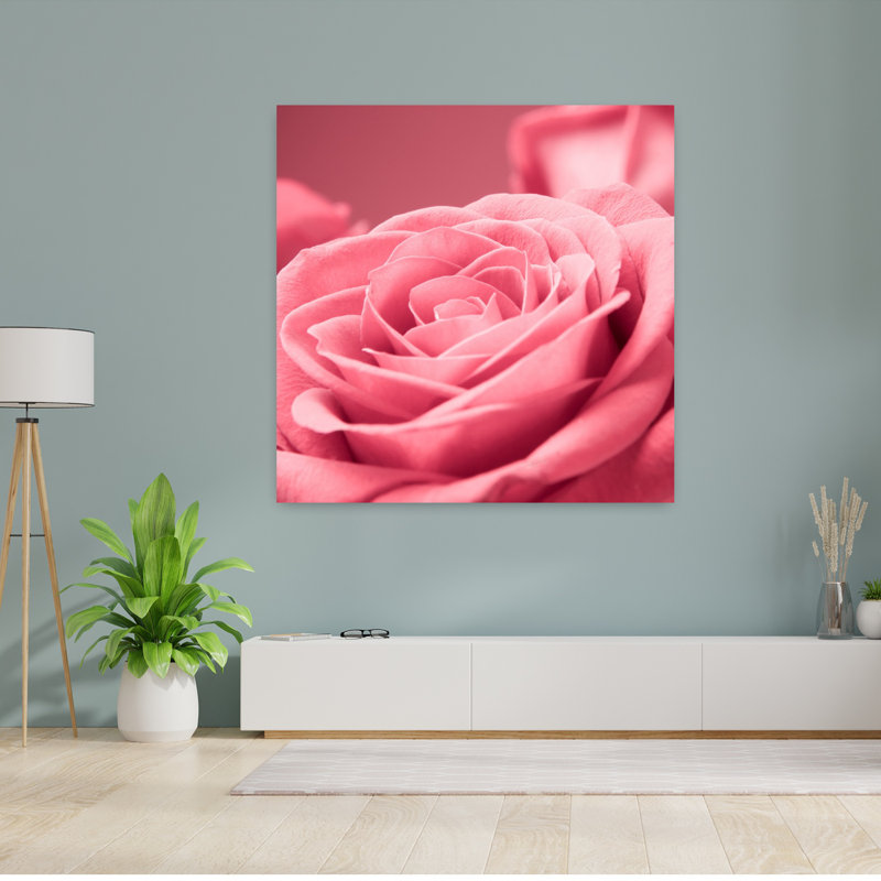 Art floral contemporain abstrait rose, H 48 po x l 48 po