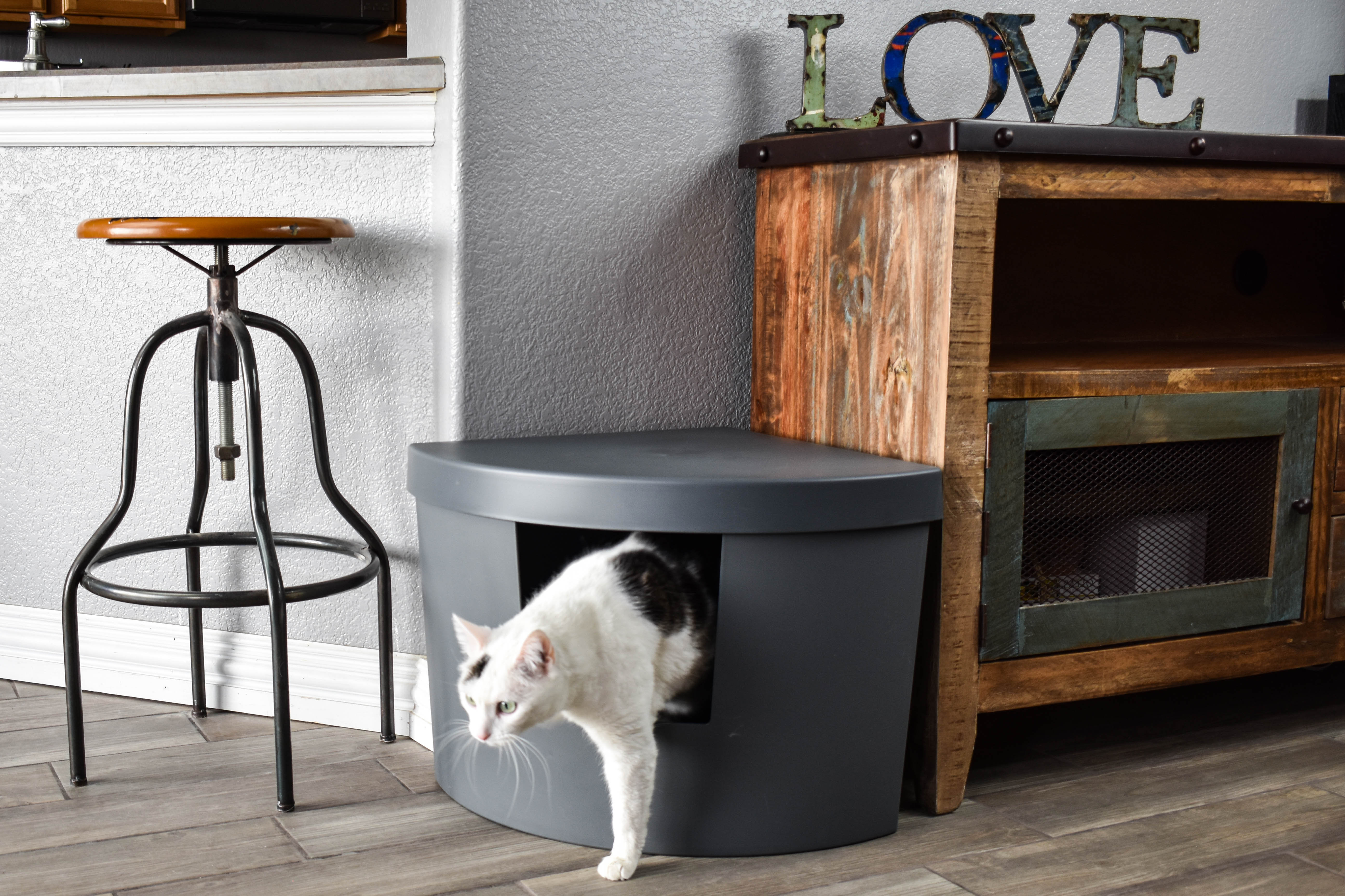 Kitangle 2025 litter box