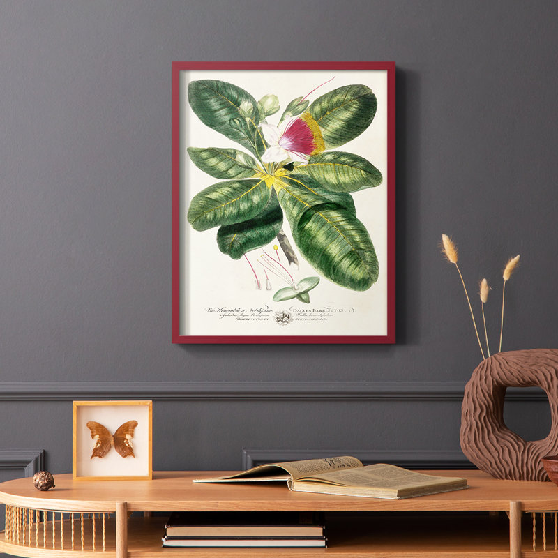 «Imperial Tropical Botanical I», reproduction encadrée - bois massif, Rouge, H 10 po x l 8 po