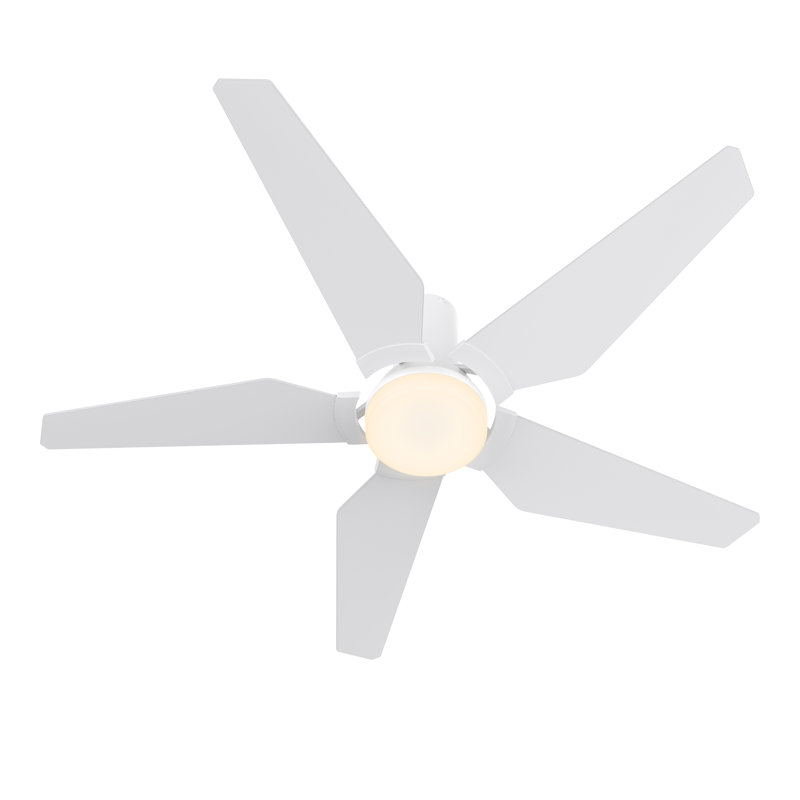 48'' Ceiling Fan with LED Lights