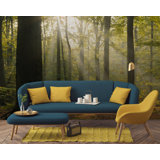 Mulloy Forest 7.83' x 118" 6 Piece Wall Mural Set