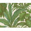 Palm Leaf White Green Wallpaper