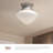 Orrin Glass Flush Mount-66310860