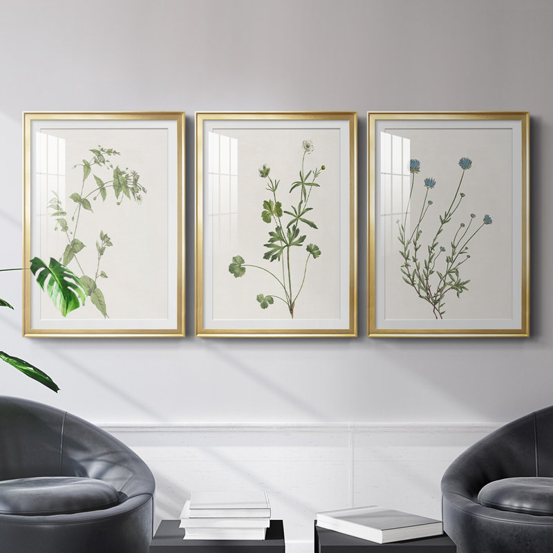 «Wispy Botanical I», reproduction encadrée de qualité supérieure - prête à être accrochée, Cadre doré