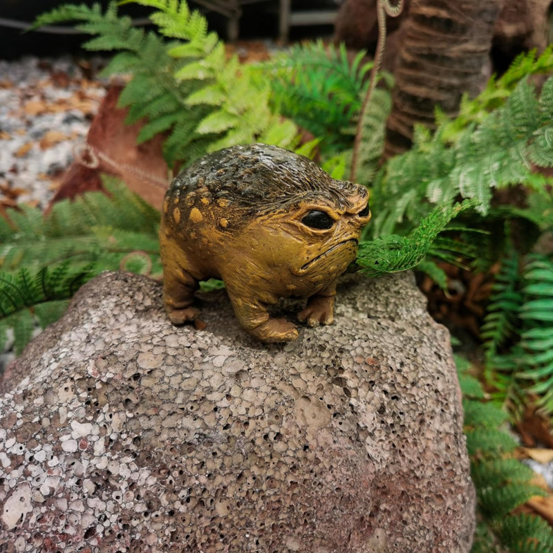 Statue de crapaud étrange queer grincheux et crapuleux