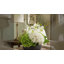 Organic Modern Arrangement with Orchids and Hydrangeas-988757372