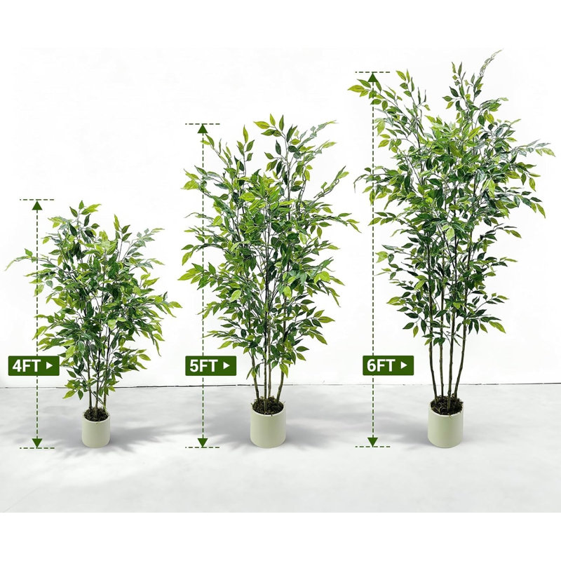 120cm Plant