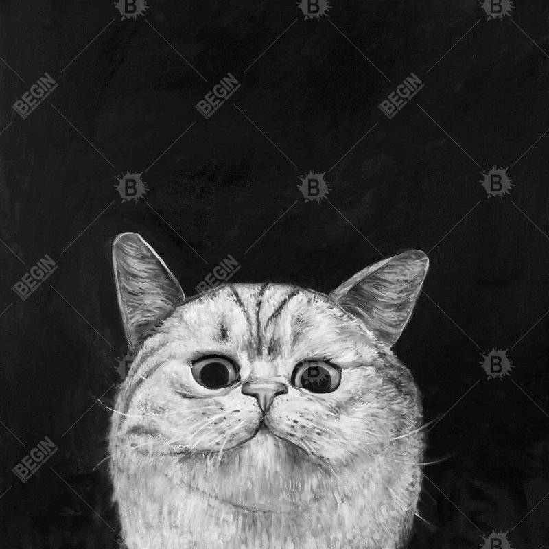 Watching cat - 16"x16" Throw pillow - Poly twill - Print on demand