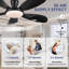 Ventilateurs de plafond 48 "avec lumières