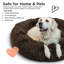 Lit pour animaux en fausse fourrure Tucker Murphy Pet ™-2104052156-2104052096