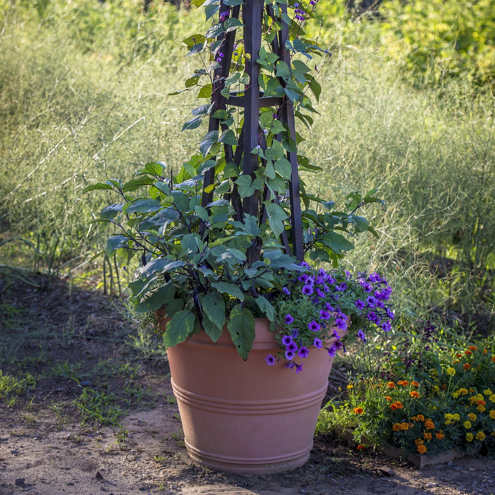 Lanesborough Resin Pot Planter, Weathered Terracotta, 15.75" H x 20" W x 20" D