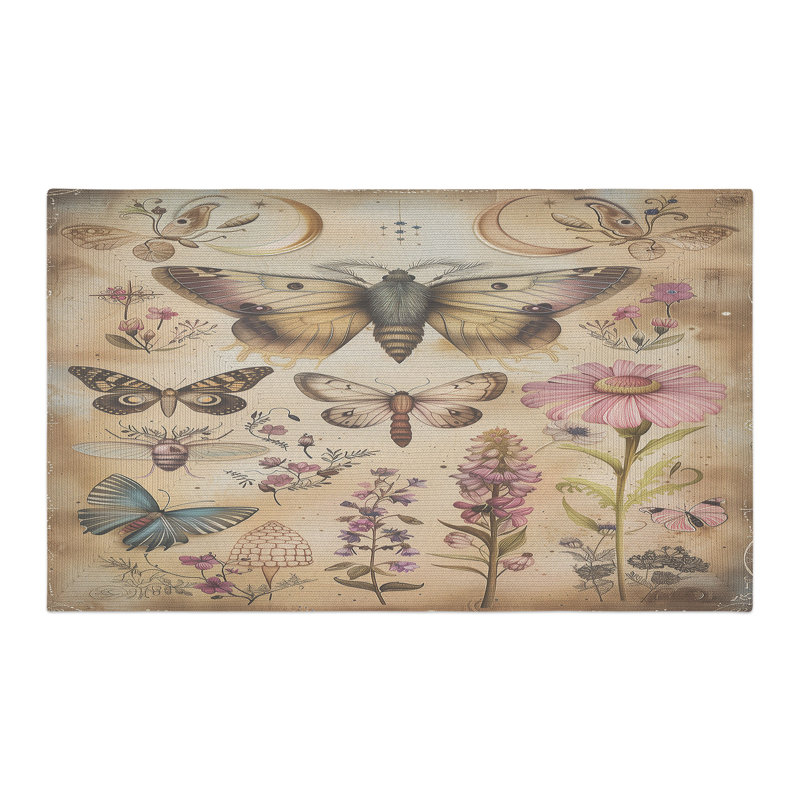 Cipriana, Rectangle 3' x 5'