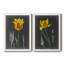 «Midnight Tulip», reproduction encadrée prémium-944445444-944282705-944282700