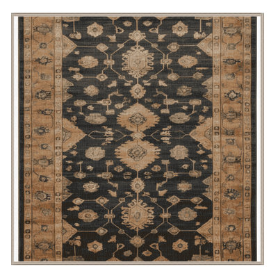 Machine Washable Overdyed Brown Area Rug