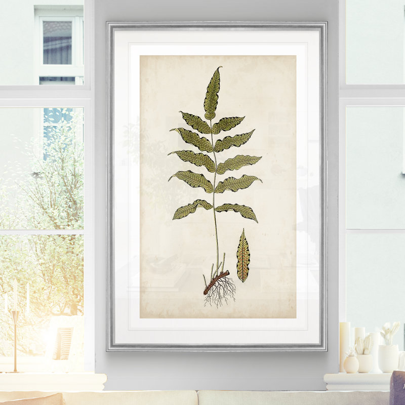 « palm botanique iii »-impression sur toile, H 22,5 po x l 30,5 po x P 1,5 po, Cadre argenté