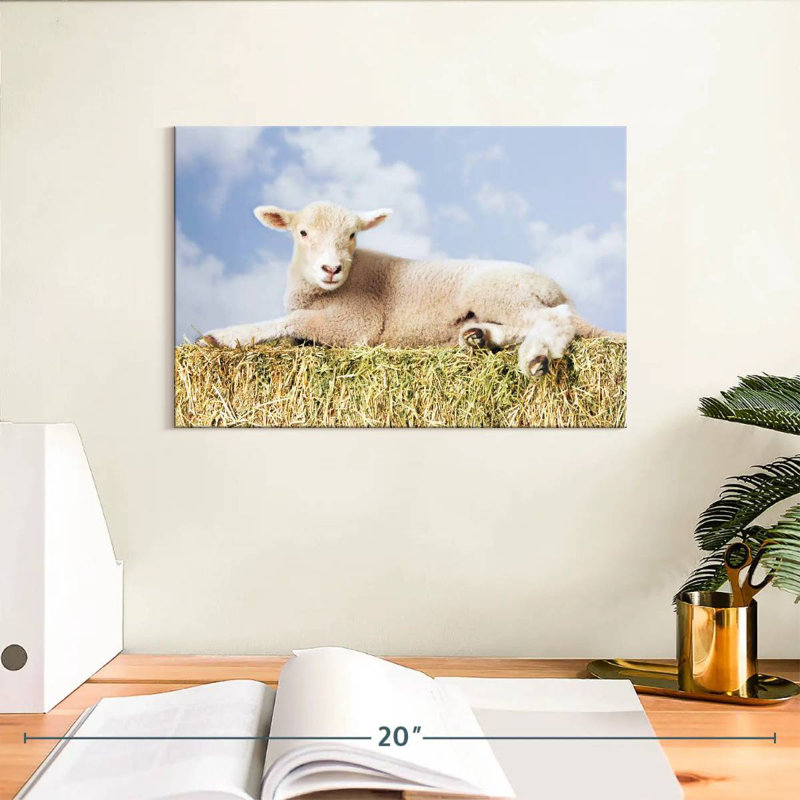 Young Sheep, 8" H x 12" W