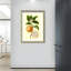 Ensemble de 2 art mural encadré botanique orange fruitier