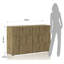 Solid Wood Standard Accent Chest