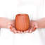 Ensemble de 2 tasses rondes en bois de hêtre-70691371