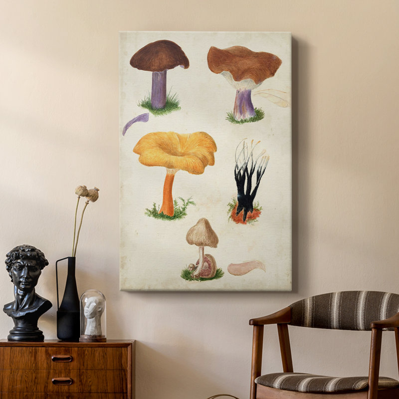 Mushroom Species VII - Gallery Cavas, H 12 po x l 8 po