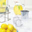 Tovolo Colossal Ice Cube Tray