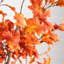 Arbre d'automne-1230477470