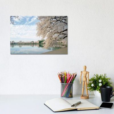 Cherry Blossom Trees Around The Tidal Basin, Washington DC, USA - Wrapped Canvas Print
