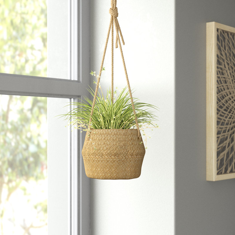 Omalley Hanging Planter