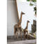 Girafe Wheaton cuivre-1717344782