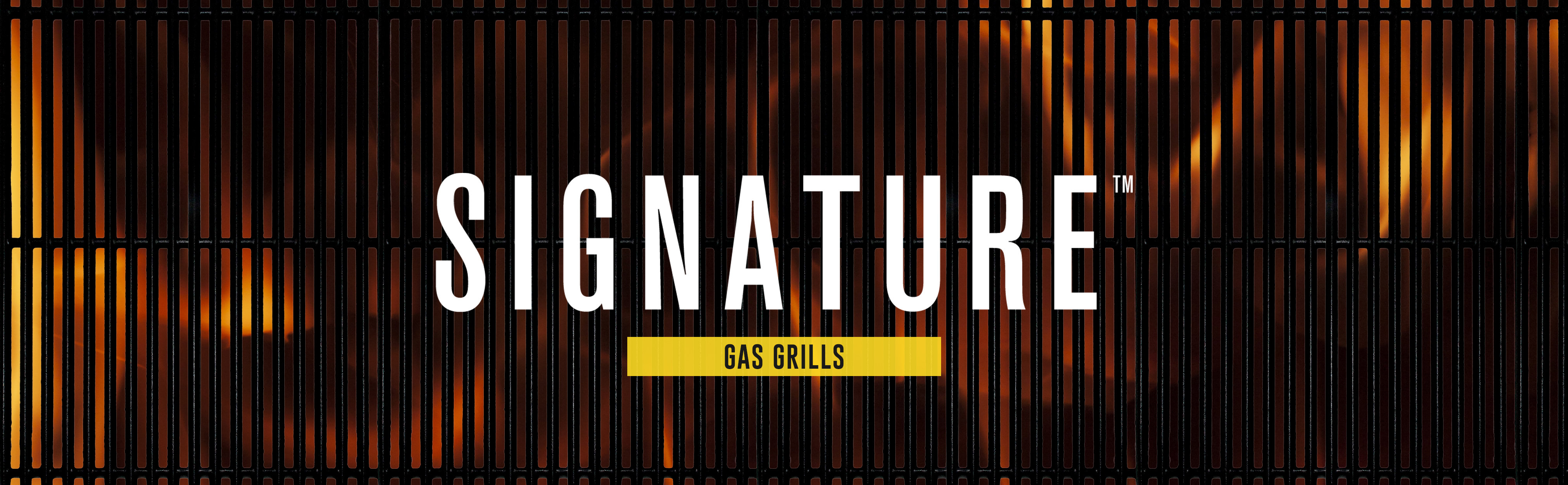 SABERGrills SABER Grills Rotisserie Kit Component with Case, Stainless