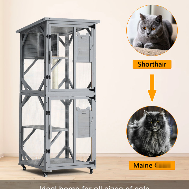 Enclos d'extérieur pour chat 70,9 po - grand avec boîte de repos améliorée, 2 petites portes pour chats (11 cabines à roulettes 25 lb, 1 poteau à griffes, 6 personnes)