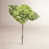 Vert foncé