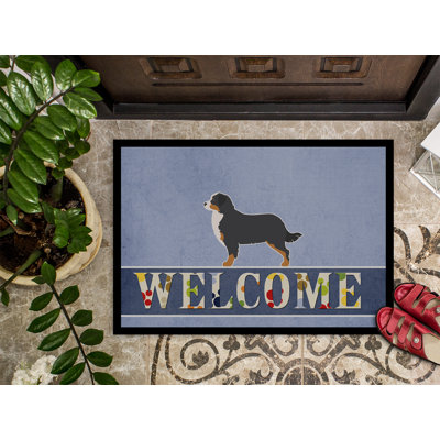 Non-Slip Outdoor Doormat