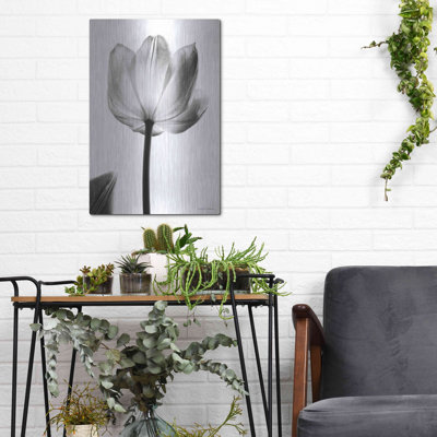 «Translucent Tulips I» par Debra Van Swearingen, art mural en métal, 16 po x 24 po