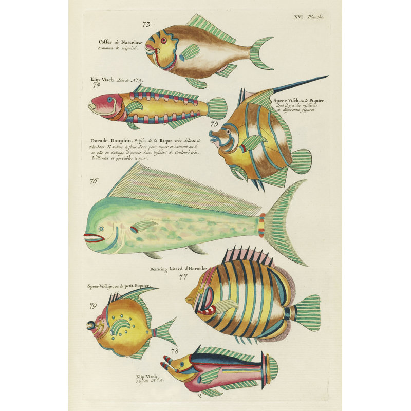 «Ahnalee Renard Tropical Fish II» par Louis Renard, H 30 po x l 20 po