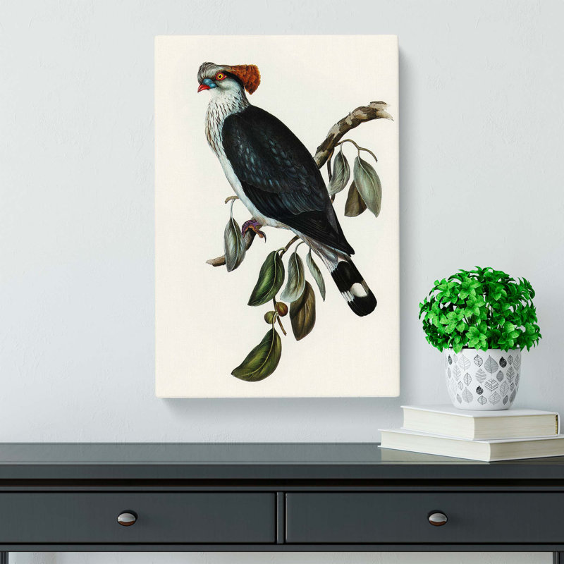 Top-Knot Pigeon by Elizabeth Gould - Wrapped Canvas, 76cm H x 50cm W x 3cm D