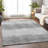 Premium Machine Washable Prisco Gray Rug-624409002